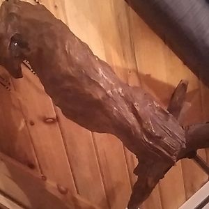 Custom made drift wood bird sculpture, from cape fear river in Wilmington nc